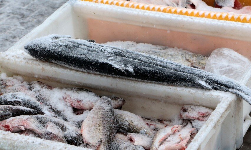 Kosmiczne ceny ryb na Targu w Rammsteinfreucie